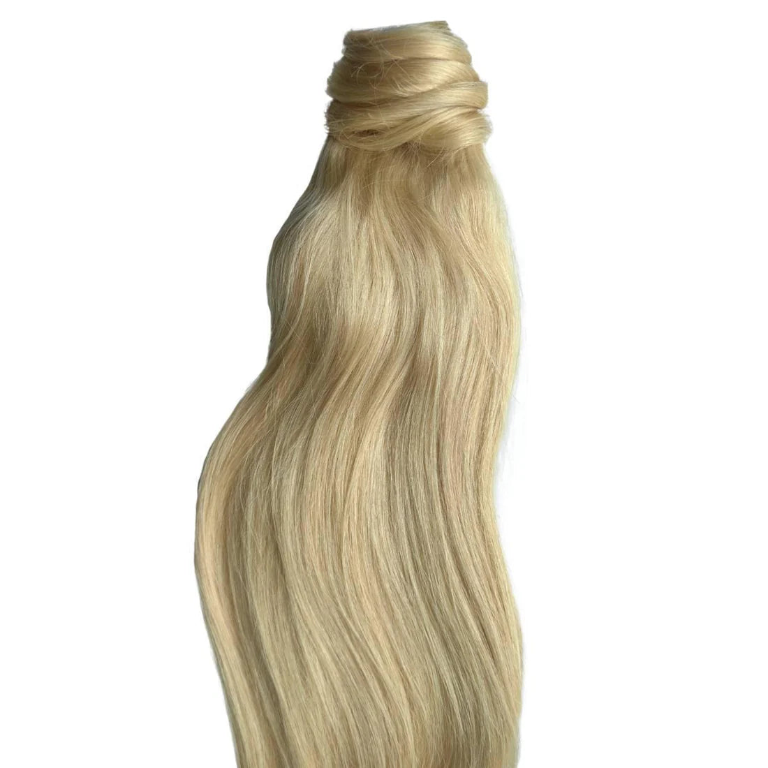 Bleach Blonde Ponytail